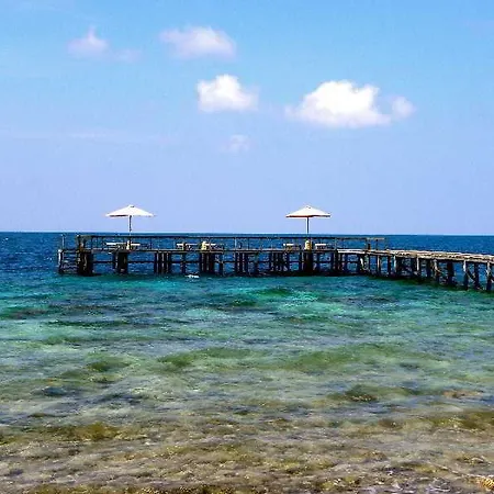 Kura Kura Resort-2